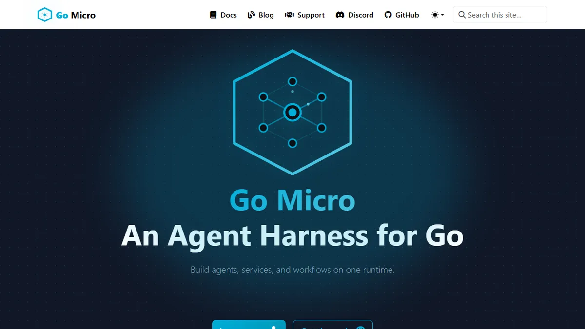 Go Micro preview image