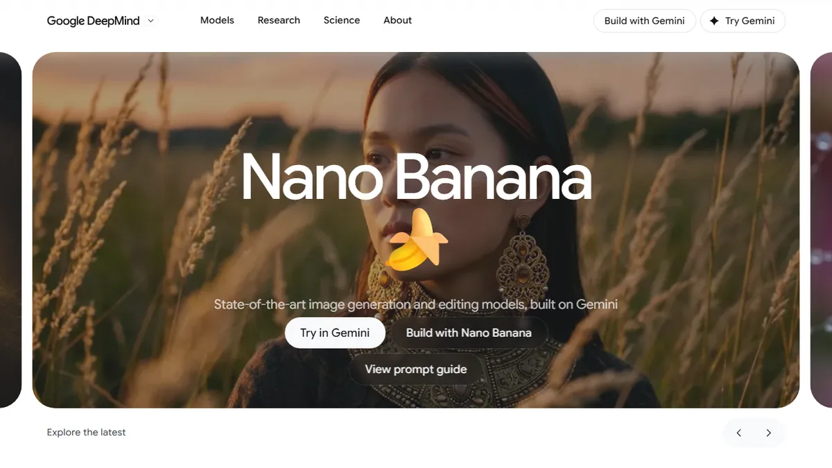Nano Banana (Gemini Image) preview image